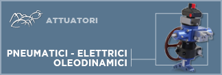 Attuatori Pneumatici, Elettrici e indraulici   Accessori